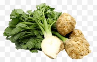 Celery Root Transparent Png - Celery Root Png,Celery Png
