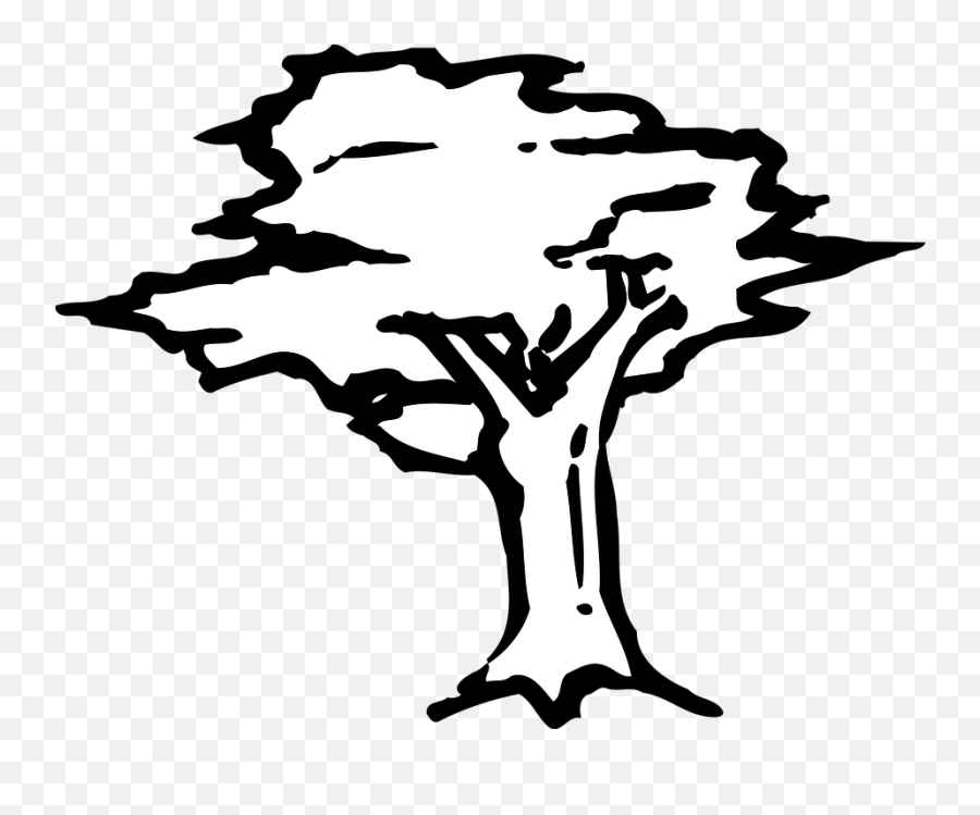 Arbor Drawing Icon - Swamp Stencil Tree Png,Drawing Icon Png