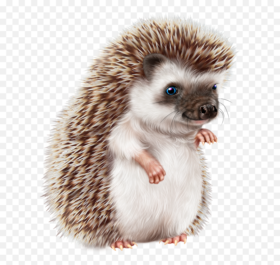Baby Animal Painting - Happy Heagehog Png,Hedgehog Transparent