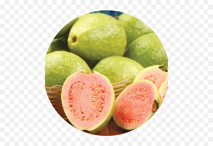 Guava - Guava Png,Guava Png