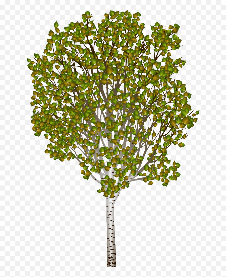 Trigger Rally Discussion Open - River Birch Png,Birch Tree Png