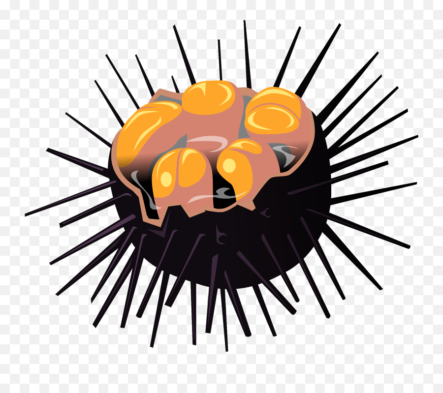 Sea Urchin Clipart - Sea Urchin Png,Sea Urchin Png