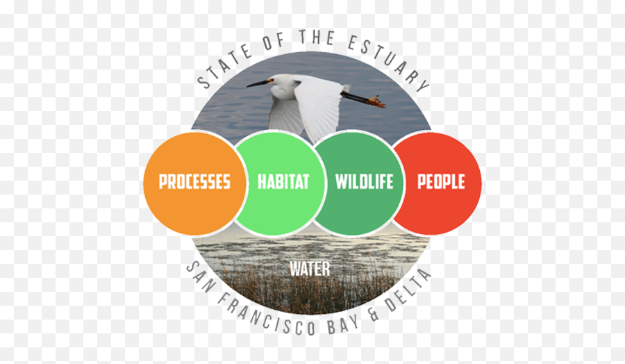 State Of The Estuary Report 2015 U2013 San Francisco - Seabird Png,Summary Report Icon