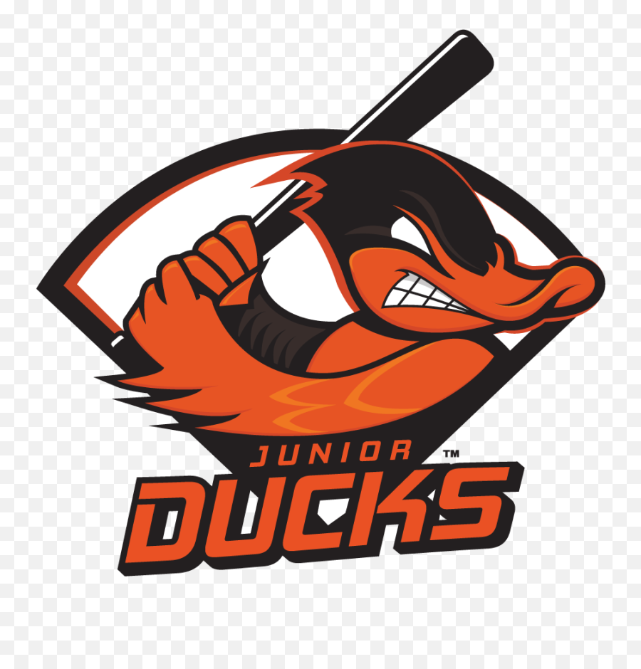 Travel Baseball Teams Junior Ducks United States - Long Island Junior Ducks Png,Baseball Coach Icon