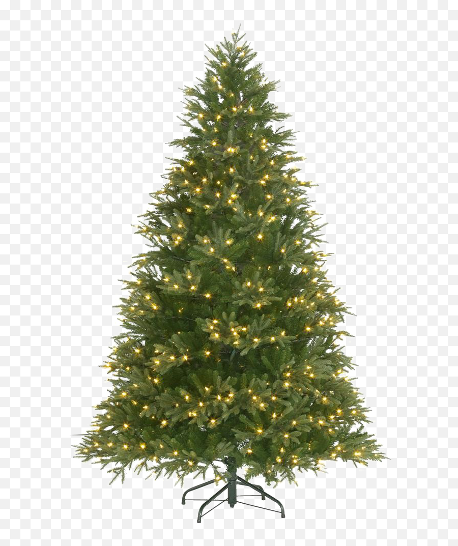 Fir Tree Png Free Background