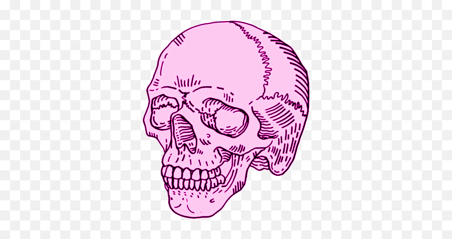 Sugar Skull Drawing Tumblr Free Download - Skull Png Aesthetic,Skull Drawing Png