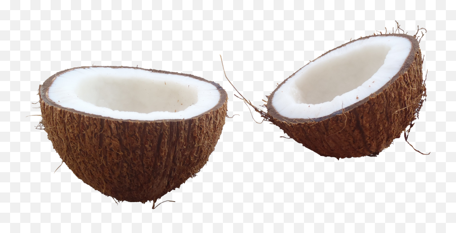 Download Coconut Png Hd - Half Coconut Png,Coconut Png