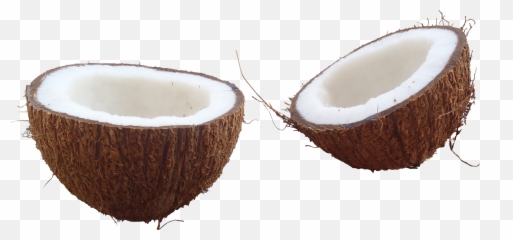 Download Coconut Png Hd - Half Coconut Png,Coconut Png