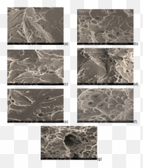 Cleavage Ridge - Fibrous And Cleavage Fracture Png,Cleavage Png