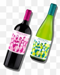 Skeleton Wine - Malbec 2017 png