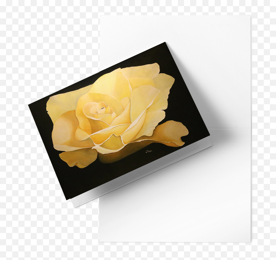 Yellow Rose Of Texas U2014 The Artist - A Rankin Paintings And Paint Parties Tulsa Ok Garden Roses Png,Yellow Rose Transparent