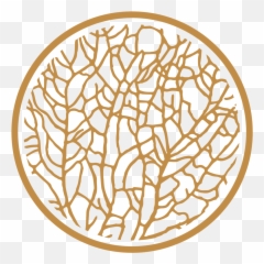 Contact Tumbleweed Png