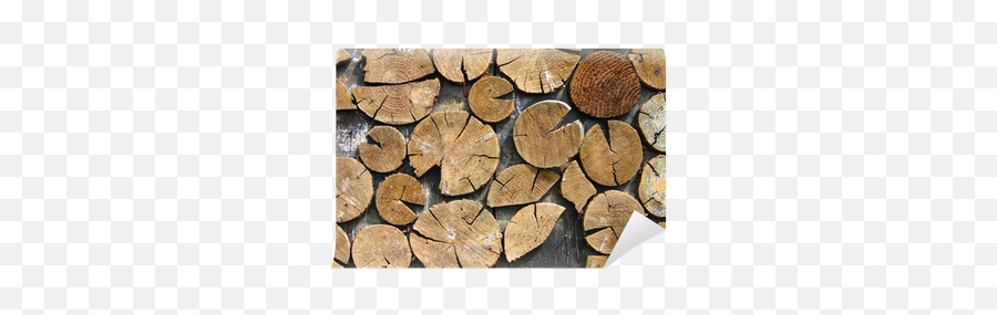 Wood Fence Wall Mural U2022 Pixers - We Live To Change Ogrodzenie Z Drewna Opaowego Png,Wood Fence Png