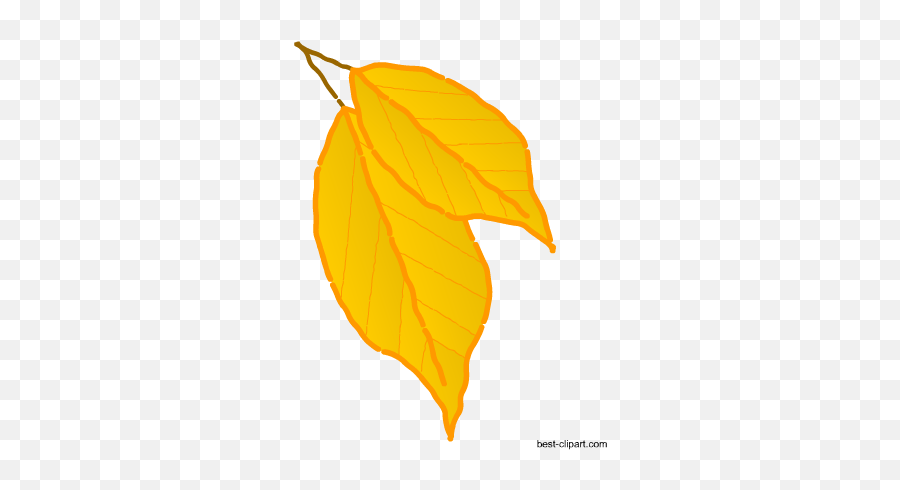 Free Fall Autumn Clip Artt - Black Maple Png,Falling Leaves Png