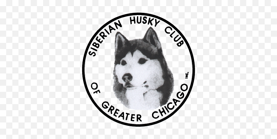 The Siberian Husky Club Of Greater Chicago - Canadian Eskimo Dog Png,Husky Transparent