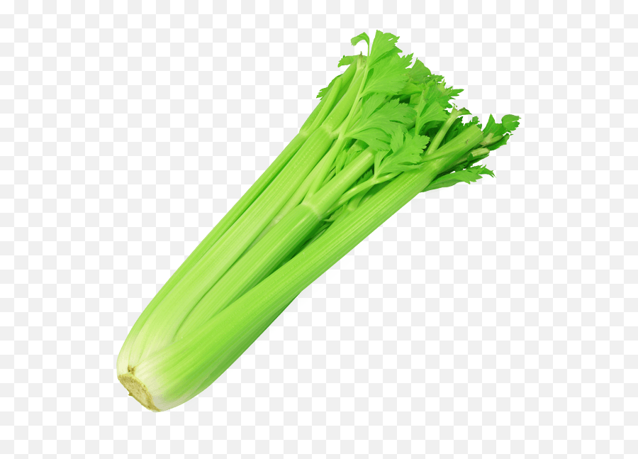 Celery Stalk 1 Pk - Transparent Background Celery Transparent Png,Celery Png