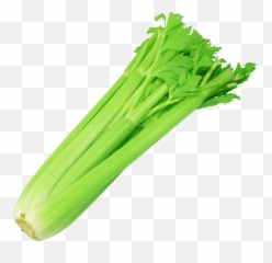 Celery Stalk 1 Pk - Transparent Background Celery Transparent Png,Celery Png