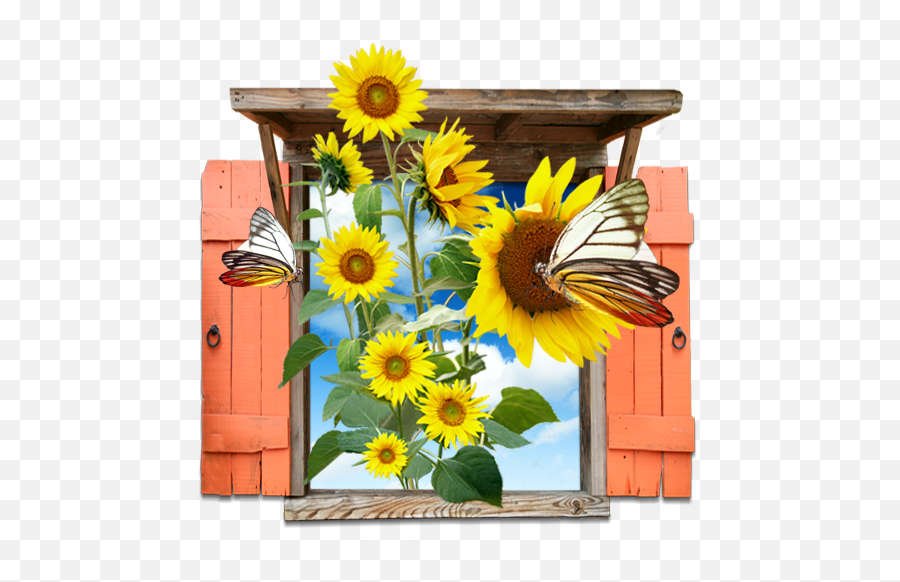 Flowers Sunflowers Window Icon - Kupu Kupu Dan Bunga Matahari Png,Sunflower Emoji Png