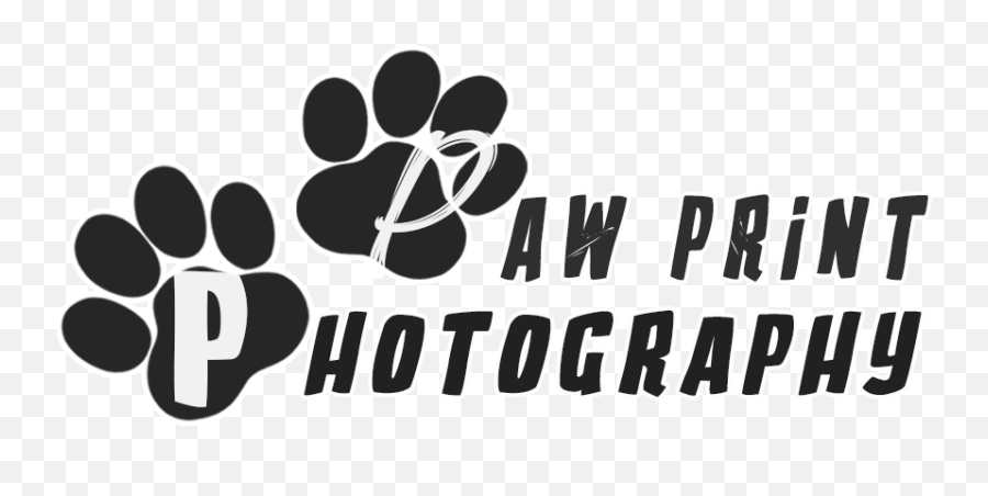 Paw Print Photography - Calligraphy Png,Paw Print Logo