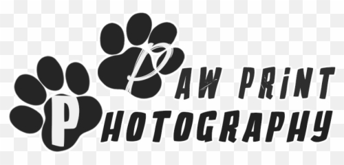 Paw Print Photography - Calligraphy png