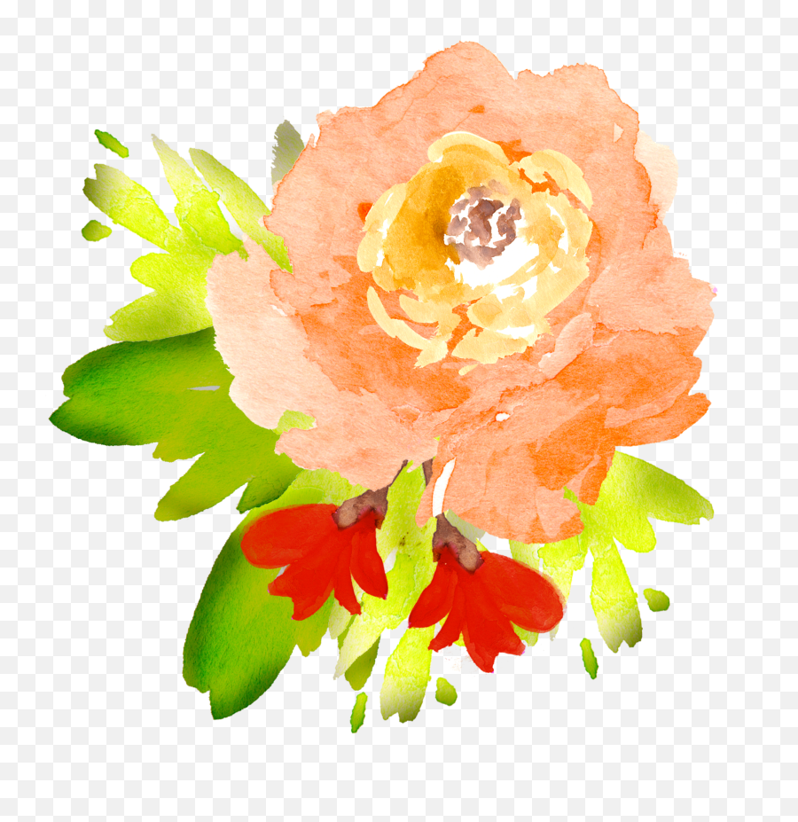 Library Of Watercolor Flower Picture - Orange Flower Clipart Png,Watercolor Flowers Transparent Background