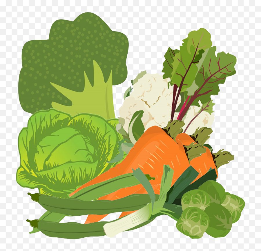 Vegetables Clipart - Mixed Vegetables Clipart Png,Cabbage Transparent Background
