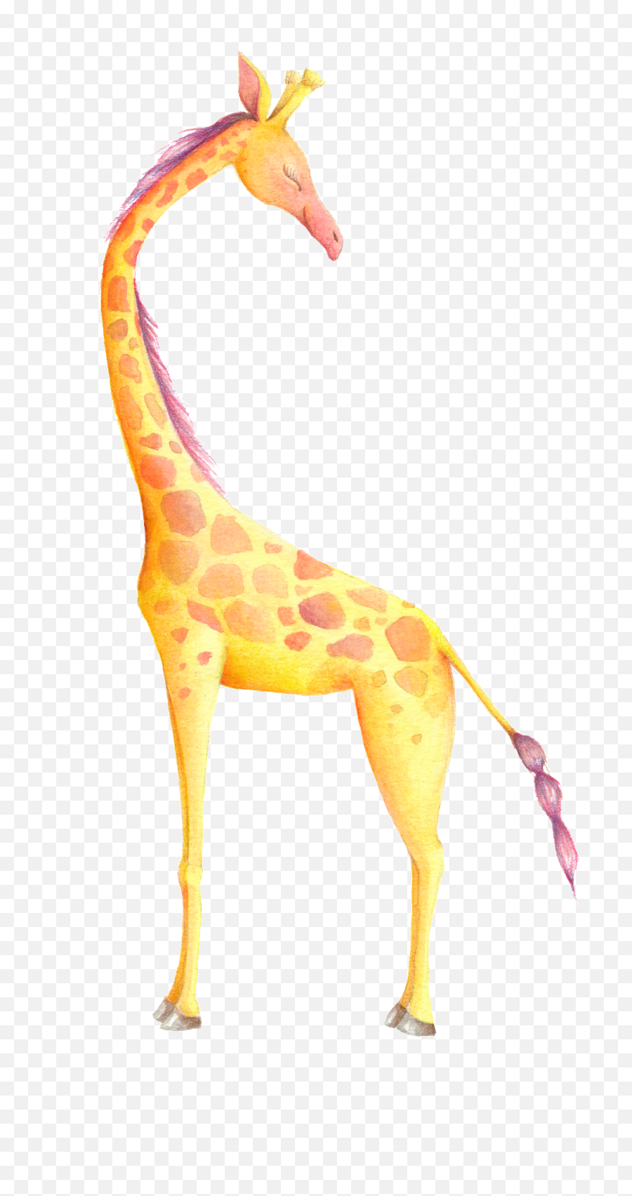 Zoo Giraffe Cartoon Transparent - Happy Fathers Day Giraffe Cute Quotes About Giraffes Png,Giraffe Transparent