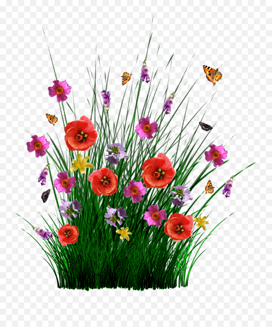 Download Isolated Spring Flowers Grass - Flower Spring Grass Png,Meadow Png