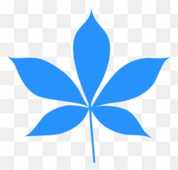 Ohio Buckeye Leaf Silhouette - Free Vector Silhouettes Buckeye Leaf Clipart png