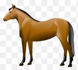 Horse Icon Png 404664 - Free Icons Library