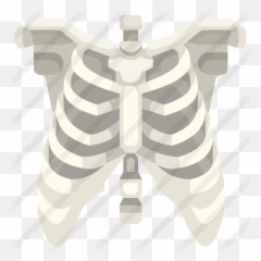 Skeleton - Rib png