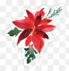 Poinsettia Print Cut File - Sketch Png,Poinsettia Icon Png