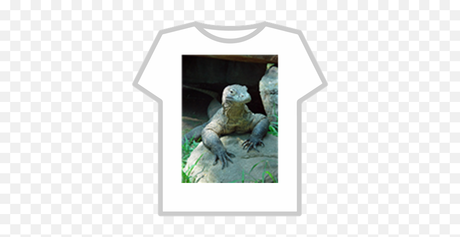 Komodo - Dragon Roblox Man Behind The Slaughter Roblox Png,Komodo Dragon Png