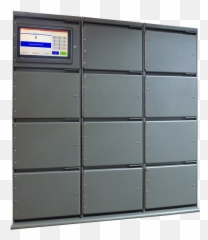 Gecko - Valuableracksystem Rack System Gecko Png,Gecko Png