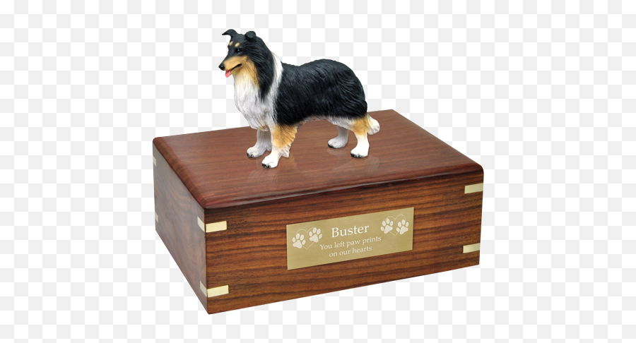 Border Collie Tricolor Pet Wood Cremation Urn - Beagle Urn Png,Icon Border Collies