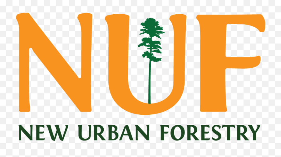 New Urban Forestry Png Forest Trees