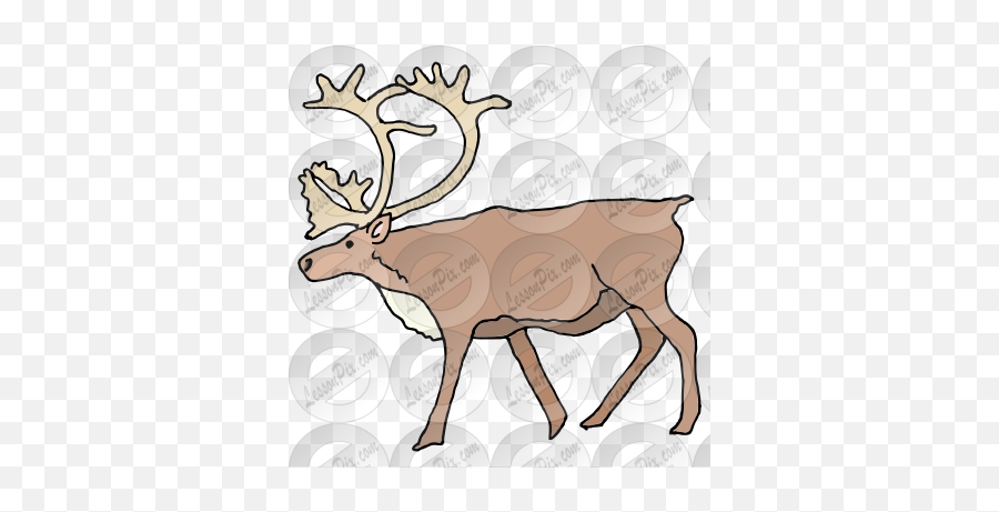 Lessonpix Mobile - Elk Png,Caribou Png