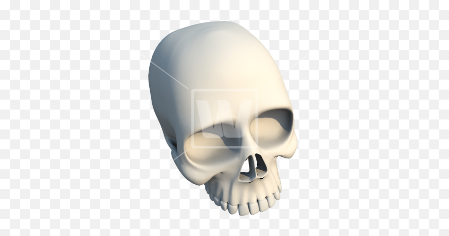 3d Skull Bone - 3d Model Skull Transparent Background Png,Bone Png