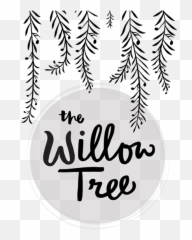 Willow Tree With Dave Eggar - Willow Tree Johnson City Png,Willow Tree Png