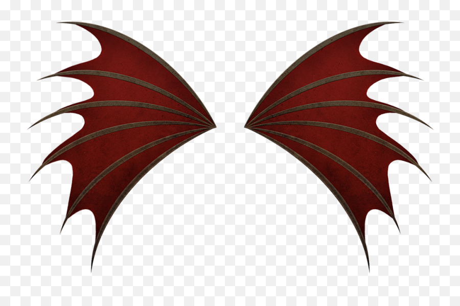 Photo From Album Angel Wings - Png On Emblem,Realistic Angel Wings Png