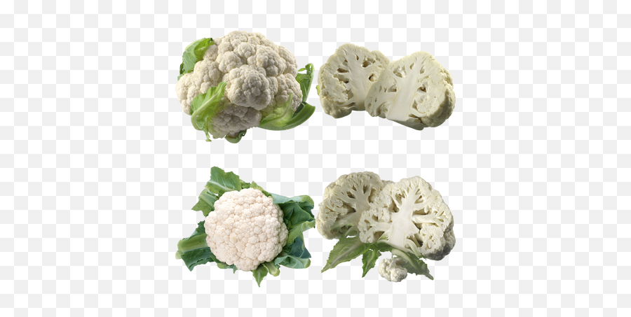 Cauliflowers Transparent Png Images - Stickpng Transparent Cauliflower Png,Cauliflower Png