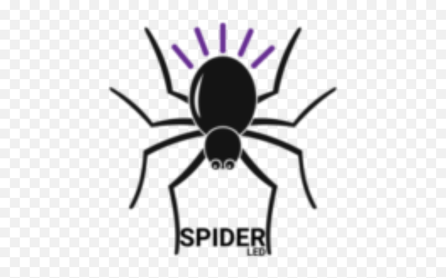 Cropped - Black Spider Vuurwerk Png,Spider Logo