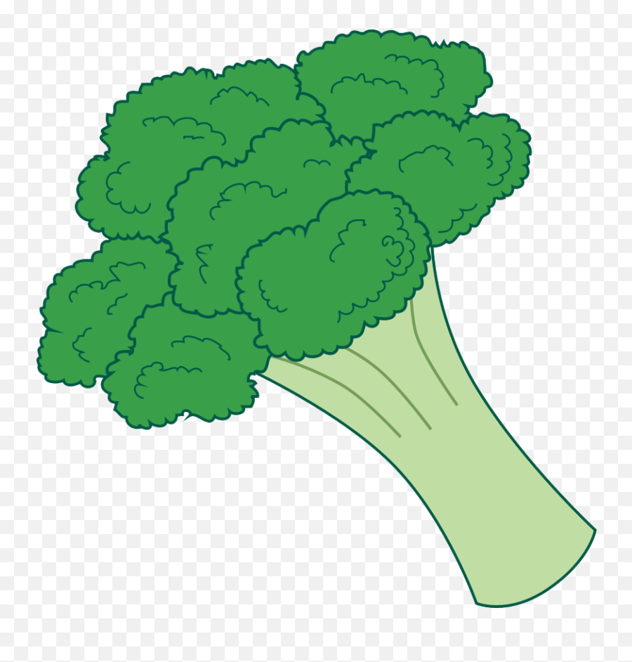 Vegetables Clipart Broccoli - Broccoli Clip Art Png,Brocolli Png