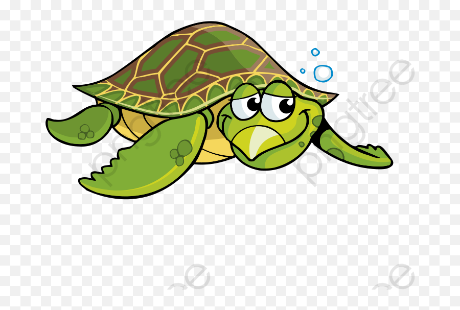 Cartoon Turtle Green Sea Clipart - Cartoon Turtles Png,Turtle Clipart Png
