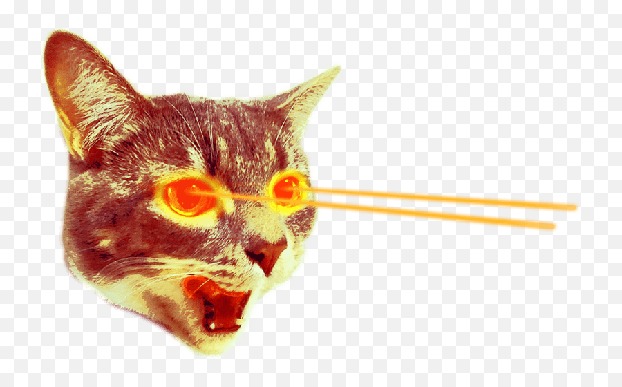 Download Hd Cat With Lasers Png Transparent Image - Cat Laser Eyes Transp.....