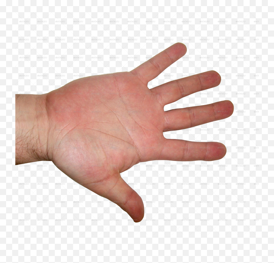 Download Human Hand Png - Transparent Png Png Images Human Hands Transparent,Skeleton Hand Png