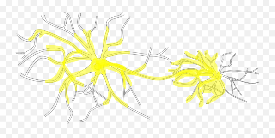 Teamsustech Shenzhenneuron Network Model - 2017igemorg Illustration Png,Neuron Png