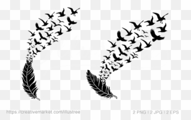 Bird Feather Transparent Background Png Arts - Take These Broken Wings,Black Feather Png
