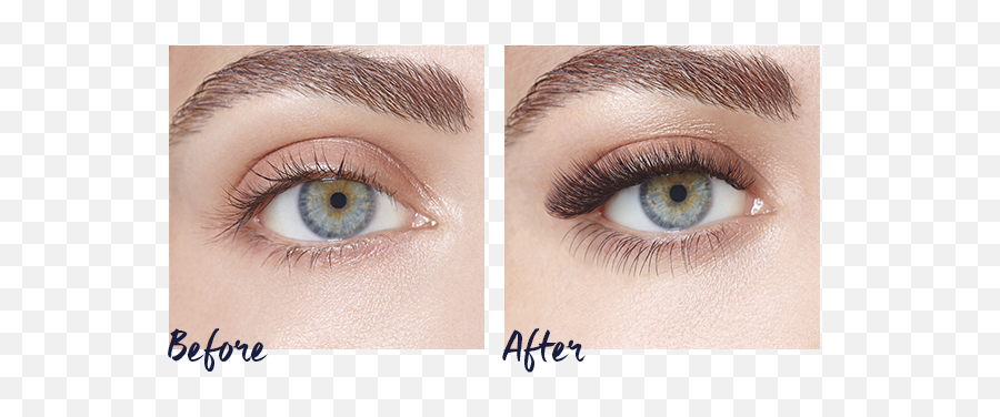 Nouveau Lashes - The Beauty Rooms At The Nibblers U2014 The Extension Lashes 1 1 Png,Lashes Png