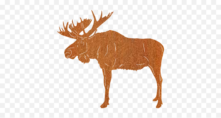 Moose - Elk Png,Moose Png